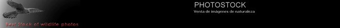 PhotoStock