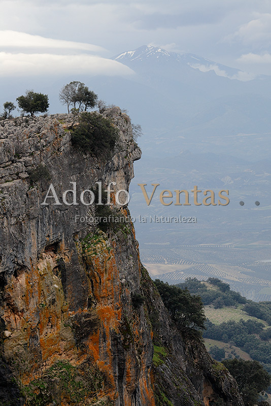 El Chorro
