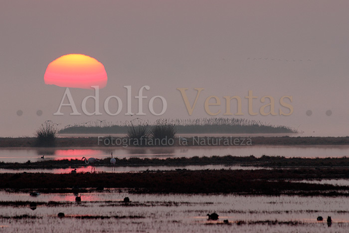 Amanecer en Doñana