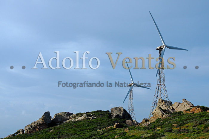 Molinos de Viento