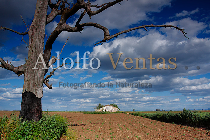 El Coloso y La Casita