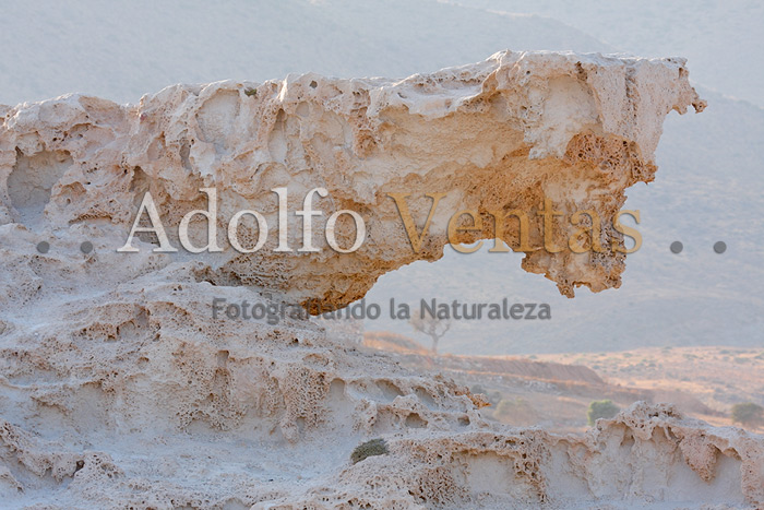 El Elemento más Fotografiado