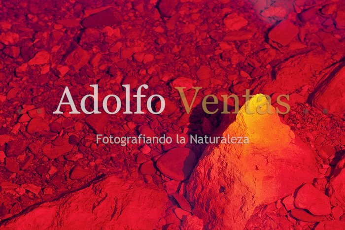 Universo Rojo