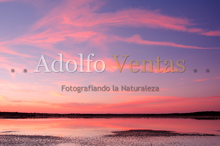 Ocaso en la Dehesa de Abajo
